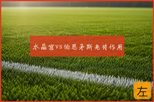 水晶宫vs伯恩茅斯老将作用